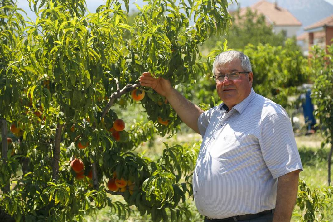 Meyve bahçesine giren üretici gözyaşlarını tutamadı! Tonlarca meyvenin çürüme nedeni şaşırttı 9